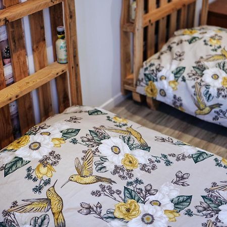 Gite Proche Du Canal Du Midi Et Narbonne 2 Chambres Mirepeisset 外观 照片
